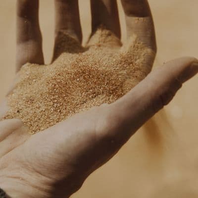 2026 Annual Letter illustration